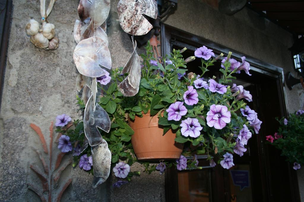 Assos Bohemian Hotel ภายนอก รูปภาพ
