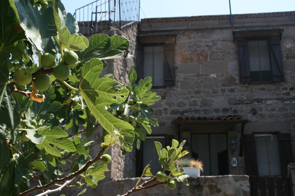 Assos Bohemian Hotel ภายนอก รูปภาพ